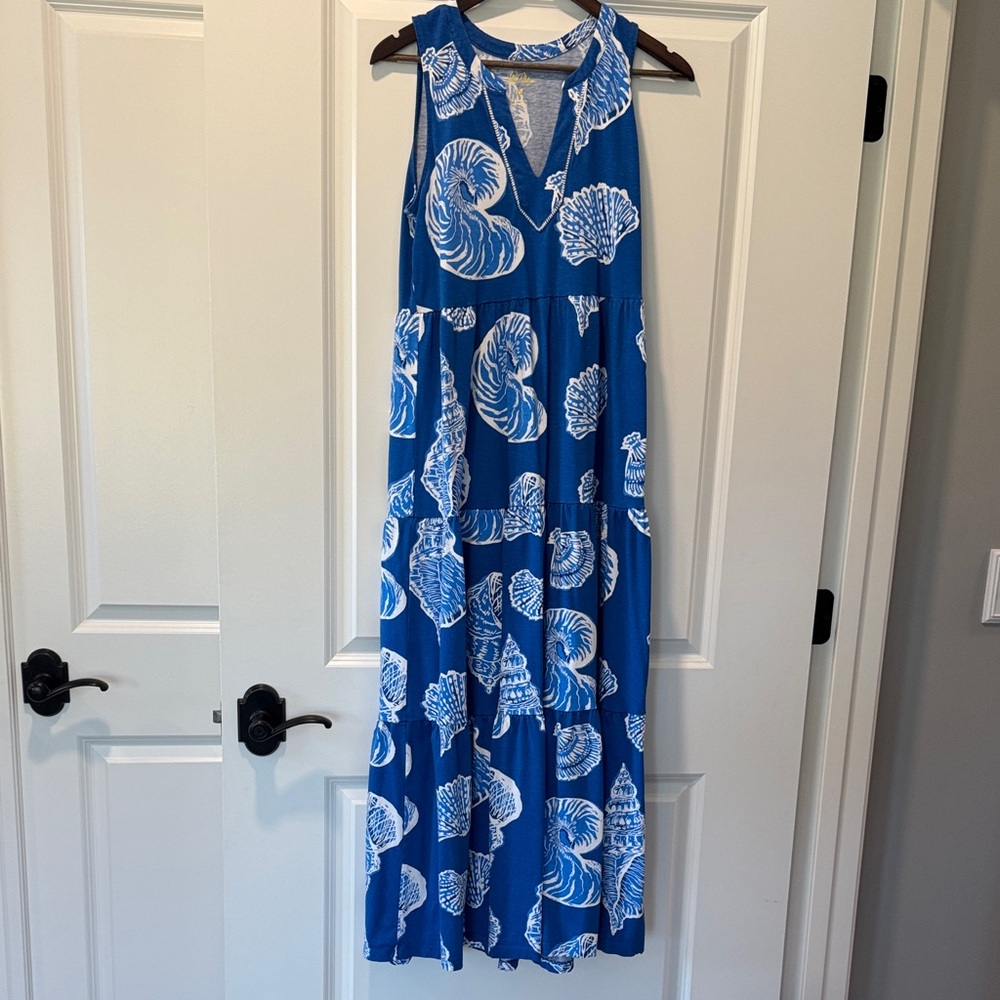 Lilly Pulitzer Blue and White Maxi Dress